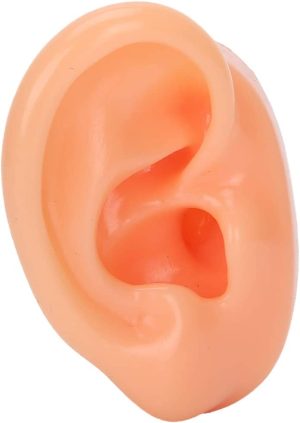 Silicone Right Ear Model, Natural Size Human Ear Model, Simulation Artificial Ear Display Model for Hearing Aids