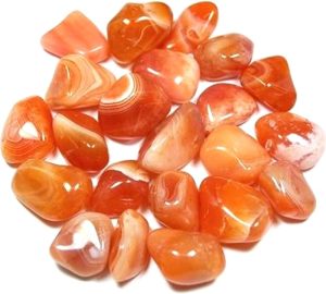 GeoFossils Carnelian Tumblestone - Medium