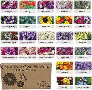 Pronto Seed Flower Bumper Pack - for Planting Now - Grow Your Own Kit - Containing 24 Different Varieties of Flowers - Over 3100 Seeds - Attract...