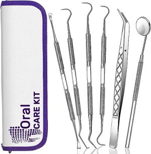 Teeth Cleaning Plaque Removal Kit, Oral Care for Personal Use 6Pcs